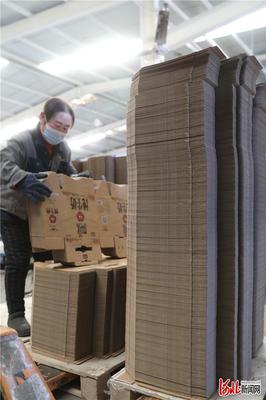 河北張家口:疫情防控物資生產&ldquo;兩不誤&rdquo;