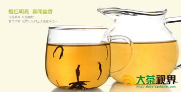 正山小種紅茶批發 廠價直供與移動互聯網研發維護新視界